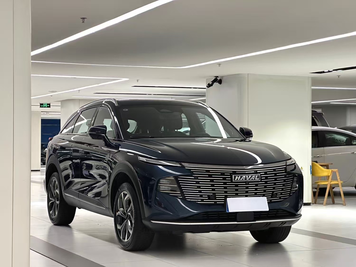 Haval 2023 Shenshou 2.0T Zhizun Edition Automatic Transmission