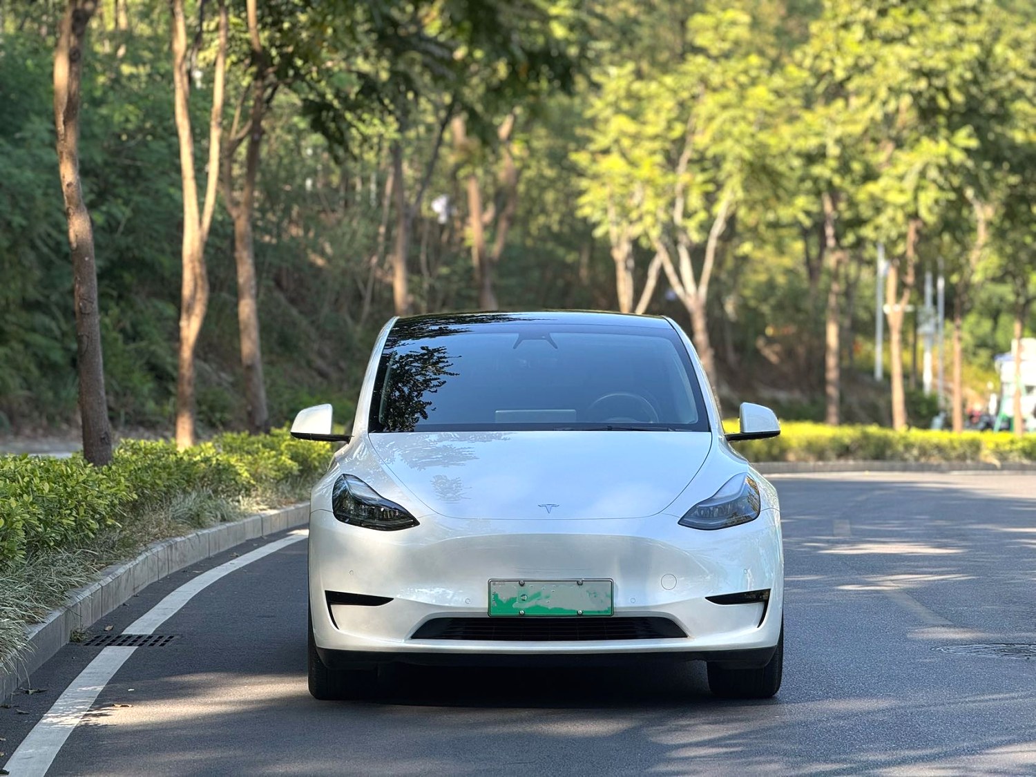 Tesla 2022 Model Y Rear-wheel Drive version with automatic transmission