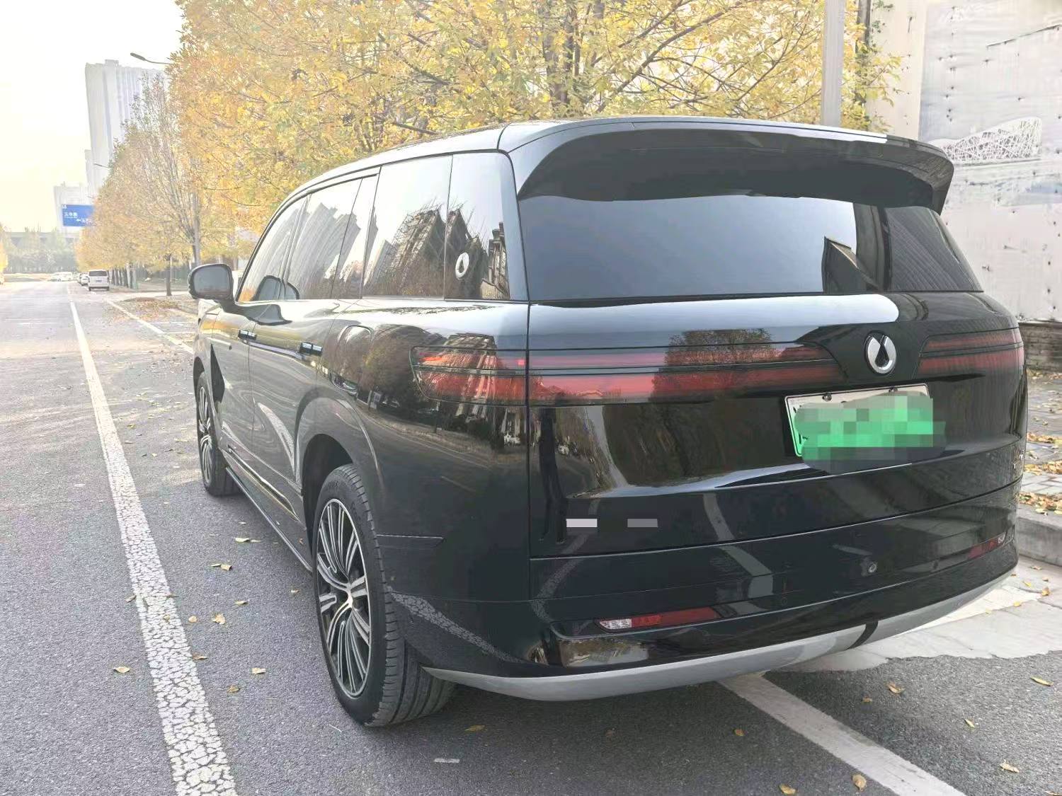 Denza N9 2.0T 1300 Flagship 2025 model