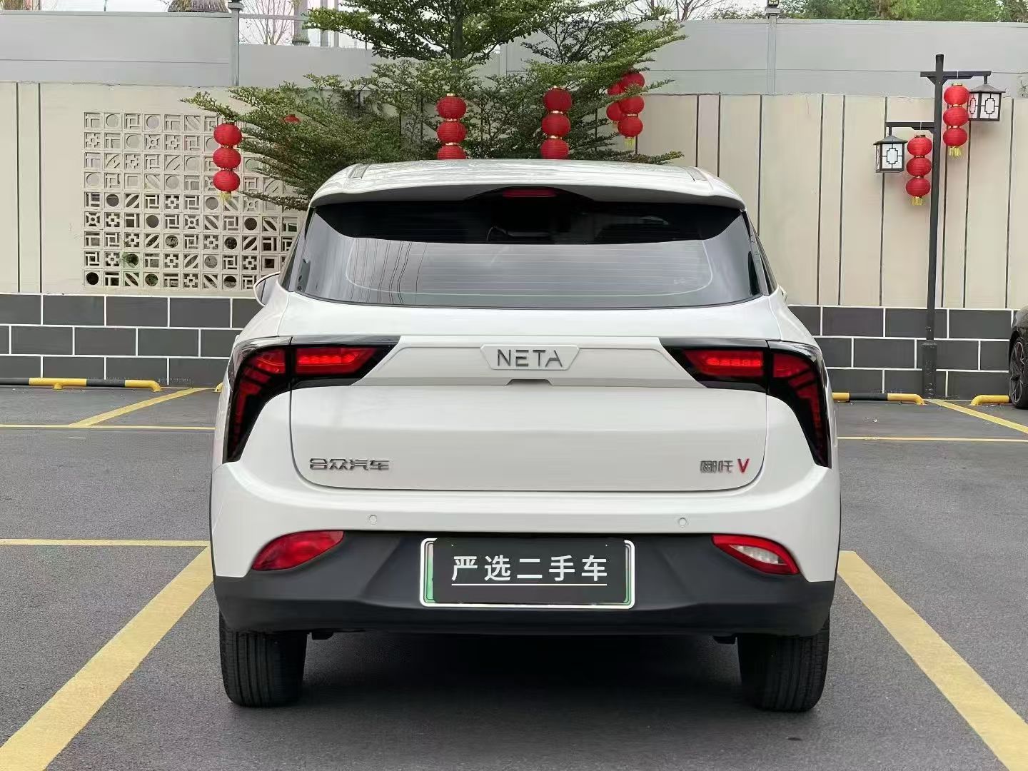 NETA V